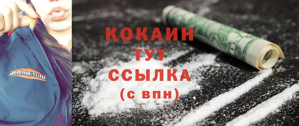 индика Абдулино