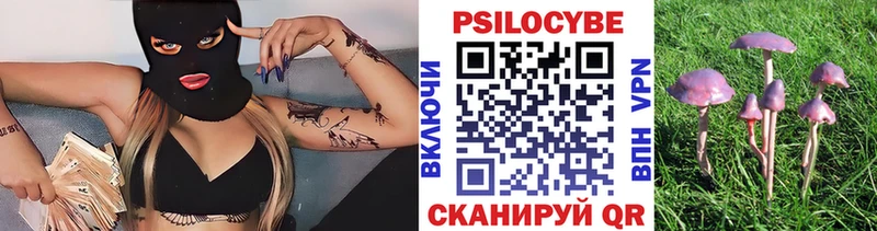 Псилоцибиновые грибы Magic Shrooms  Тырныауз 